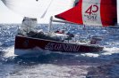 Entre régate et chasse aux baleines